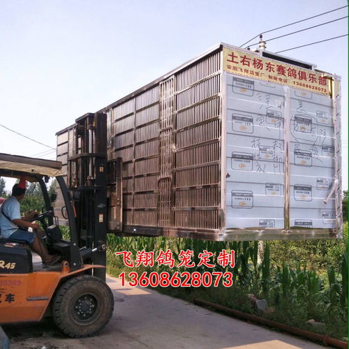 飛翔鴿籠 不銹鋼放飛籠 訓放籠 賽鴿籠 賽鴿集裝箱產品展示