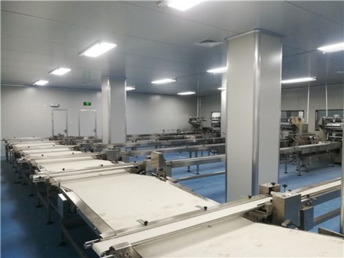 焦作食品廠凈化車間裝修等級劃分與無菌室凈化裝修過濾設(shè)備解析
